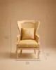 Cara Lounge Chair - view 5