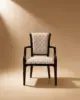 VA Dining Chair - view 5
