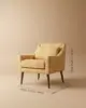 Walter Lounge Chair - view 5